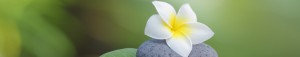 sri_sri_ravi_shankar_on_meditation
