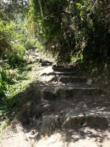 Взобраться на Мачу-Пикчу не очень легко, так что возьмите удобную обувь и воду